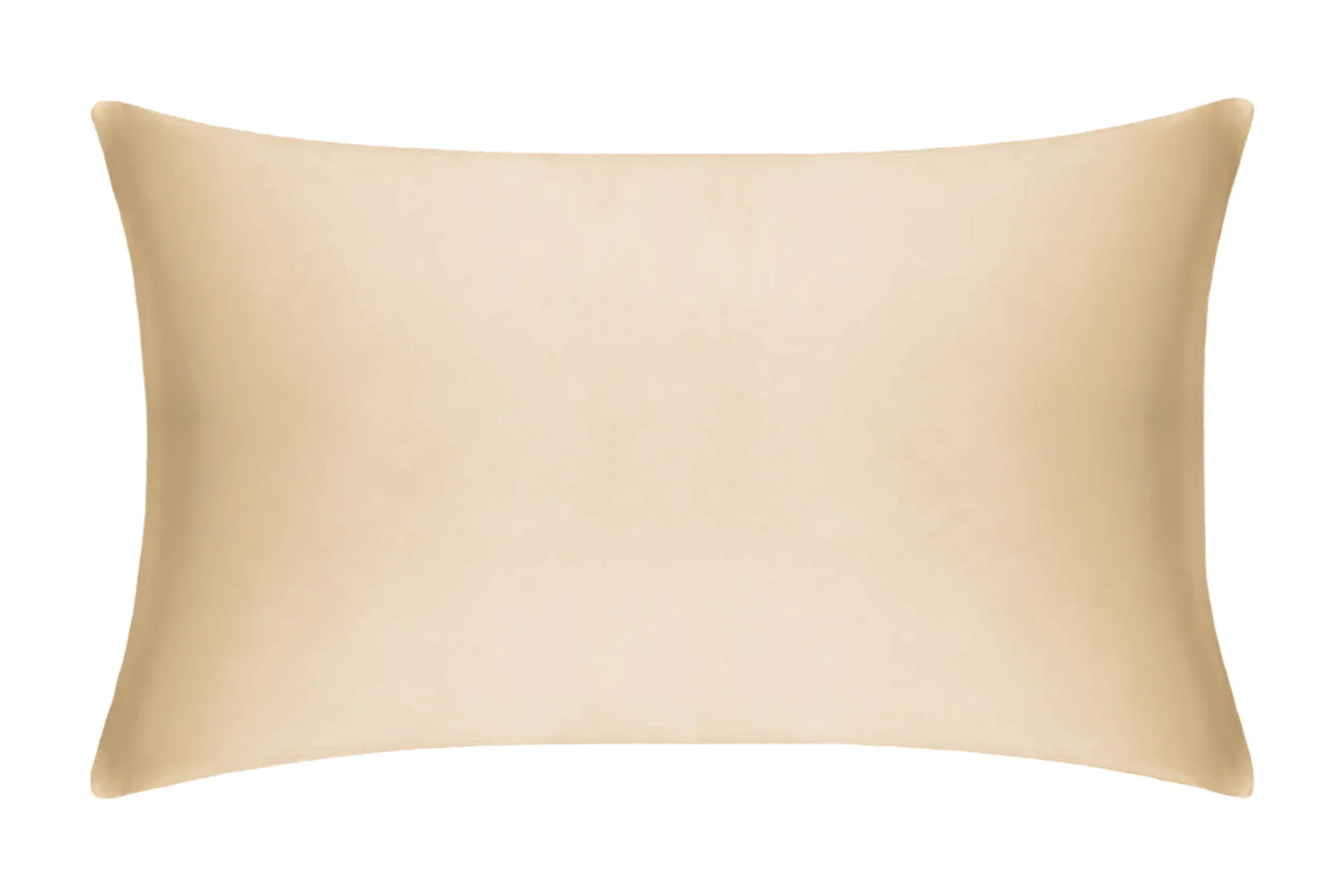 Champagne Pure Silk Pillowcase - Image 4